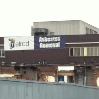 Asbestos Inspection 2